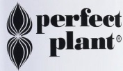 perfect plant logo
